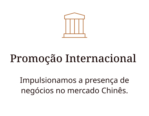 Promoção Internacional 1